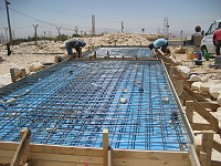 ���� ���� ������